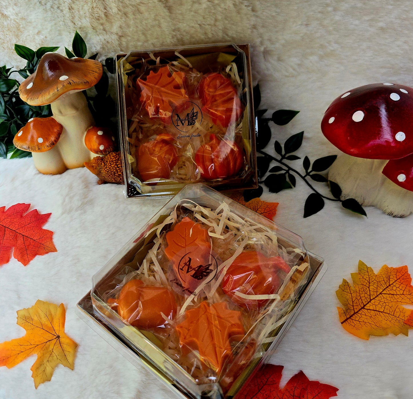 Cosy Season Box - Limited Edition