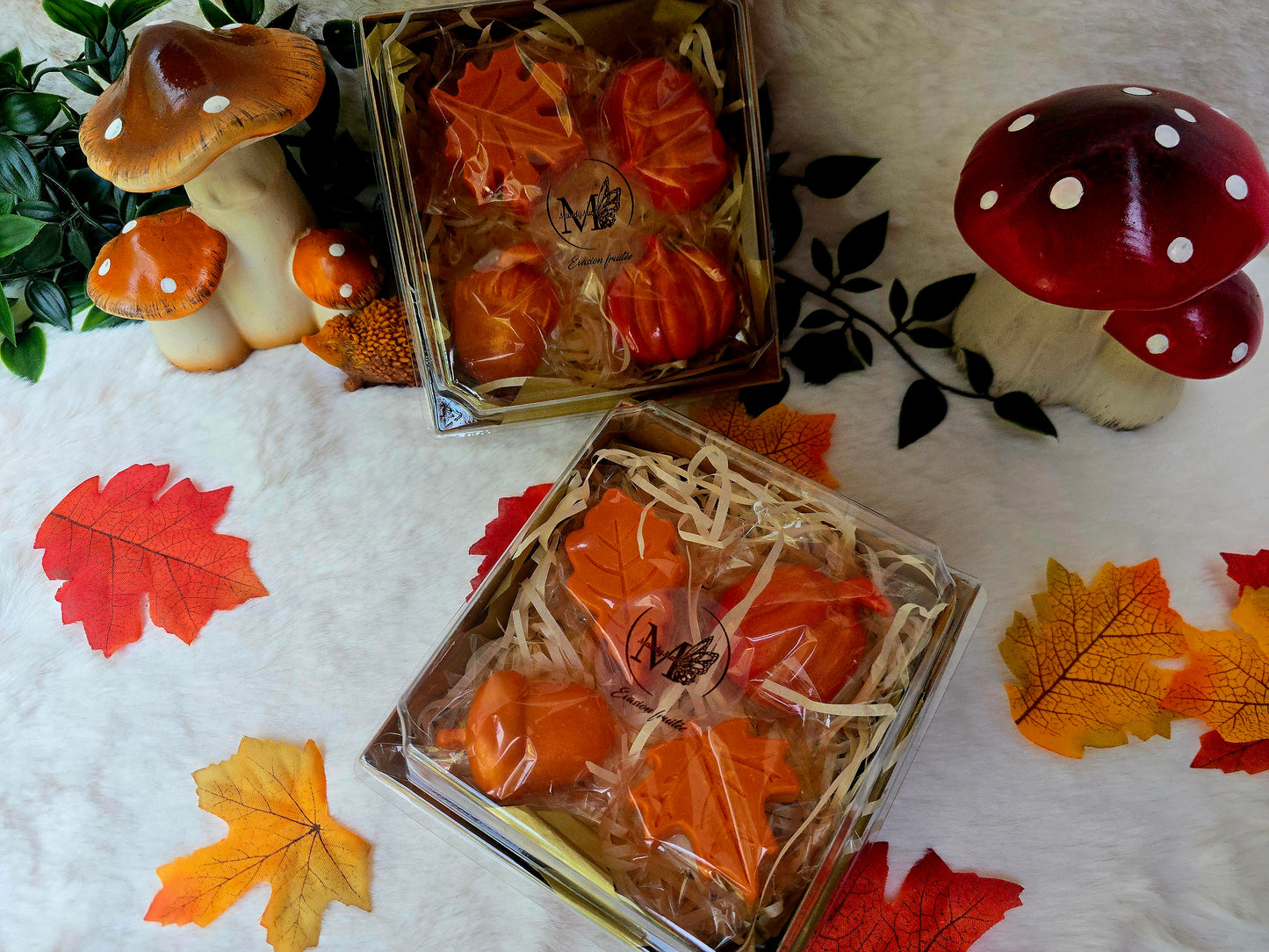 Cosy Season Box - Limited Edition