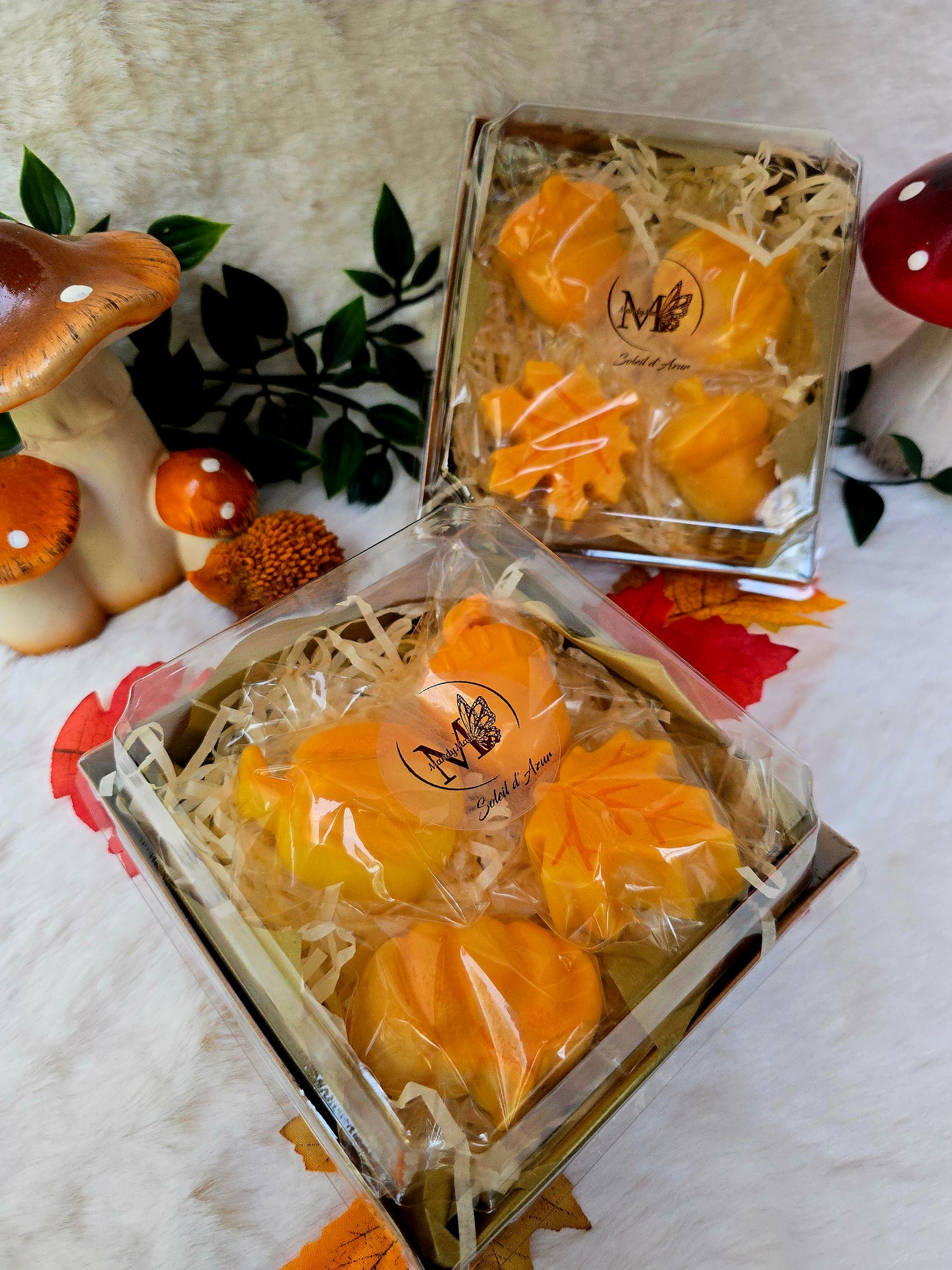 Cosy Season Box - Limited Edition