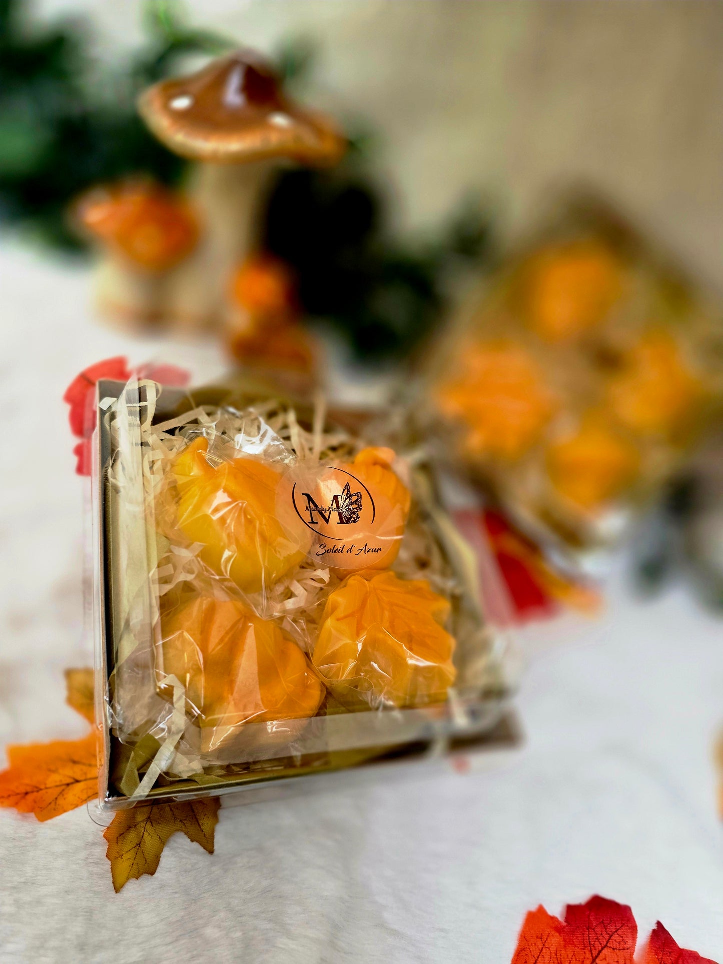 Cosy Season Box - Limited Edition