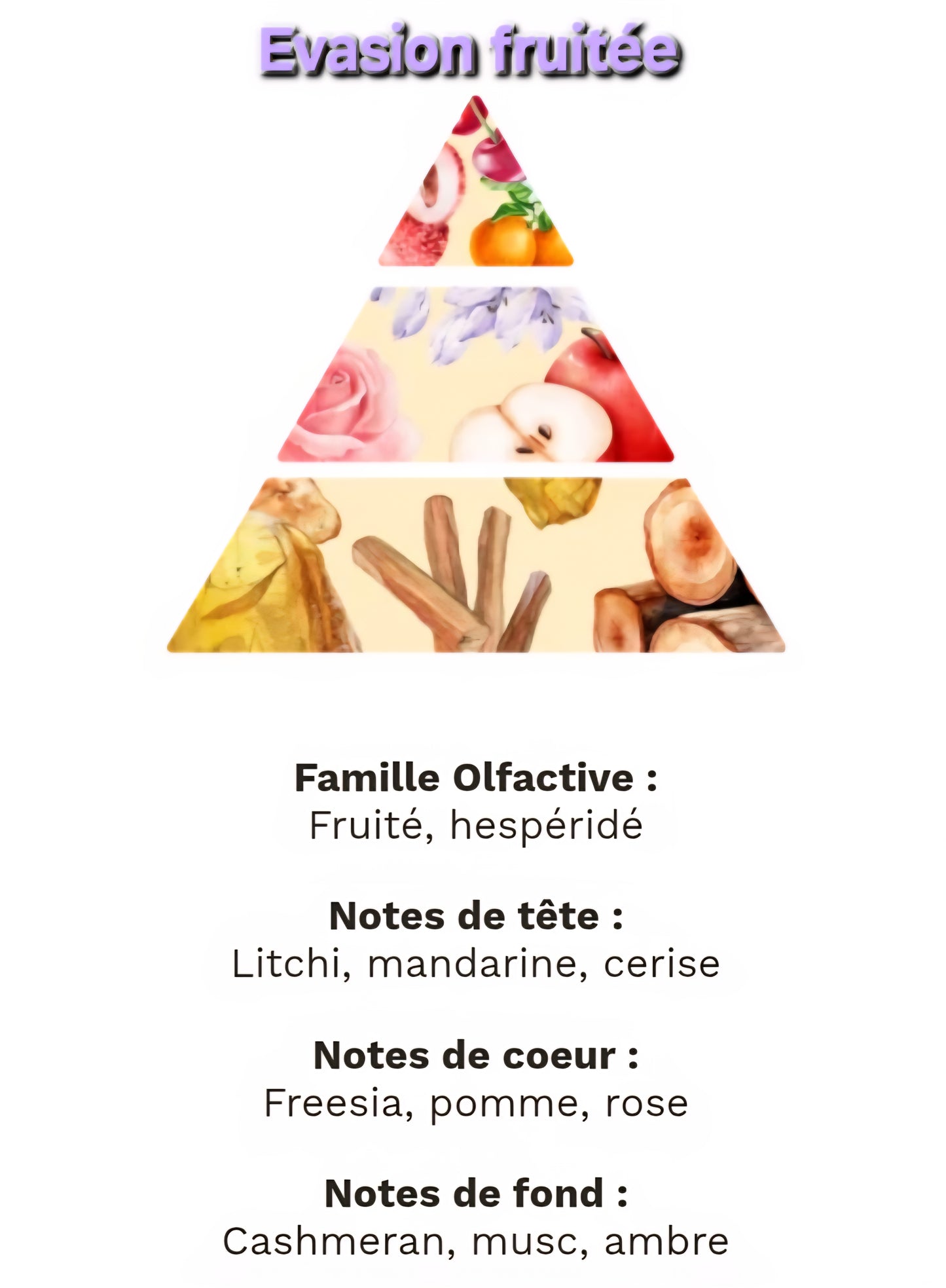 Cosy Season Box - Limited Edition