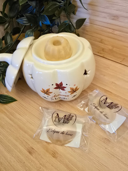 Fondant parfumé artisanal - 18gr -Éclipse de lune