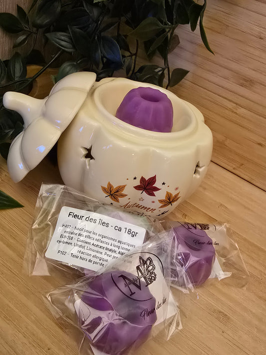 Fondant parfumé artisanal - 18gr - Fleur des îles