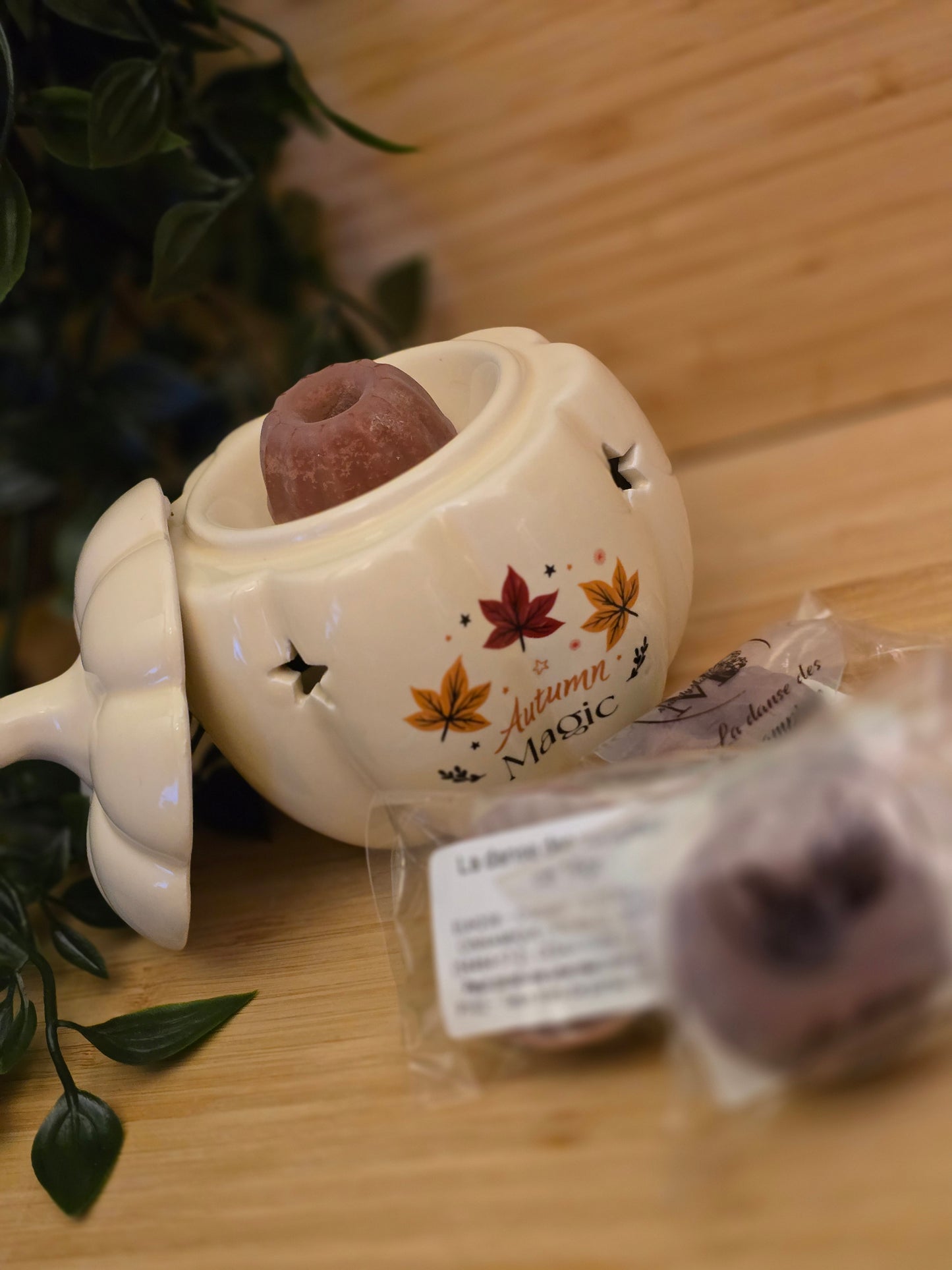 Fondant parfumé artisanal - 18gr -La danse des vampires