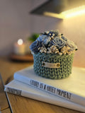 Signature Bloom - Candle Bouquet